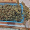 Green Crack (Garden of Green) Cannabis-Samen zu verkaufen