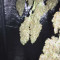 Frisian Duck (Dutch Passion) Cannabis-Samen zu verkaufen