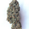 Amnesia XXL Autoflowering (Dinafem Seeds) Cannabis-Samen zu verkaufen