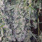 ICED Grapefruit (Female Seeds) Cannabis-Samen zu verkaufen