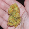 Vitality feminisierte Samen (AlphaFem Seeds)