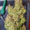 Grapefruit Auto (Fast Buds) Cannabis-Samen