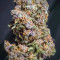 Black Cream Auto Cannabis-Samen Kaufen