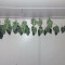 Honey Cream (Fast Flowering) (RQS) Cannabis-Samen zu verkaufen