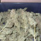 Kaufe Original Cinderella Auto Samen feminisiert von Fast Buds