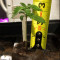 Critical Mass Regular (Mr. Nice Seedbank) Cannabis-Samen