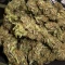 Purple Lemonade Auto RF3 (Fast Buds)