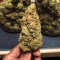 Venice Beach Afghan (Kera Seeds) Cannabis-Samen