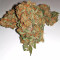Blackberry Gum feminisierte Samen