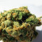 Jack Herer (Kera Seeds) Cannabis-Samen