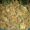 Super Skunk (Seedstockers) Cannabis-Samen
