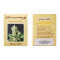 Widow 2004 regular (De Sjamaan Seeds) Cannabis-Samen