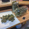 Pure Kush (GHS) Cannabis-Samen zu verkaufen