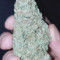 Kaufe Watermelon Z Auto Samen feminisiert von Barney's Farm