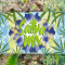Sativa Mix Samen feminisiert (Herbies Seeds)