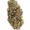 Fruit Cake (Seedstockers) Cannabis-Samen