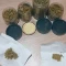 Tangie'matic Auto (Fast Buds) Cannabis-Samen zu verkaufen