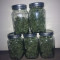 Big Bang Auto Cannabis-Samen Kaufen