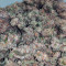 Girl Scout Cookies (BlimBurn Seeds) Cannabis-Samen