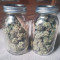 Sweet ZZ (Sweet Z) (RQS) Cannabis-Samen zu verkaufen