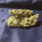 Green Crack Auto (Fast Buds) Cannabis-Samen zu verkaufen