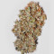 Bangi Haze (Ace Seeds) Cannabis-Samen
