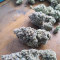 Peyote Critical (Barney's Farm) Cannabis-Samen zu verkaufen