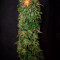 G13 Haze (Barney's Farm) Cannabis-Samen zu verkaufen