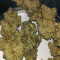 Pineapple Glue (Advanced Seeds) Cannabis-Samen