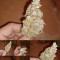 Holy Grail Kush Cannabis-Samen Kaufen