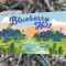 Blueberry Hill feminisierte Samen (Herbies Seeds)