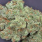 Northern Lights Autoflower feminisierte Samen (Seedstockers)