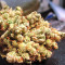 Malawi x PCK (Ace Seeds) Cannabis-Samen