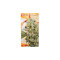 Buddha Medikit CBD (Buddha Seeds) Cannabis-Samen