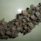 Pineapple Chunk Cannabis-Samen Kaufen