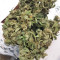 White Widow (Seedstockers) Cannabis-Samen