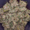 Auto White Widow Cannabis-Samen Kaufen