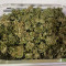 Eleven Roses (Delicious Seeds) Cannabis-Samen zu verkaufen