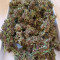 Black Cream Auto Cannabis-Samen Kaufen
