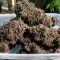 Auto Red Tropicana Cookies (Dutch Passion)