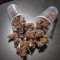 Black Cream Auto Cannabis-Samen Kaufen