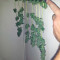 Northern Lights Auto (GHS) Cannabis-Samen