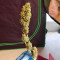 Colombia Mangobiche regular (CannaBioGen) Cannabis-Samen