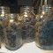 Black Cream Auto Cannabis-Samen Kaufen