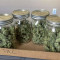 Afghani #1 Cannabis-Samen Kaufen