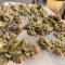Cookies Gelato (RQS) Cannabis-Samen