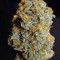 Desfrán (Dutch Passion) Cannabis-Samen