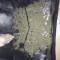 Frisian Duck (Dutch Passion) Cannabis-Samen zu verkaufen