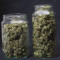 Deep Mandarine CBD (Delicious Seeds) Cannabis-Samen zu verkaufen
