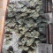Trans Siberian Auto (Auto Seeds) Cannabis-Samen